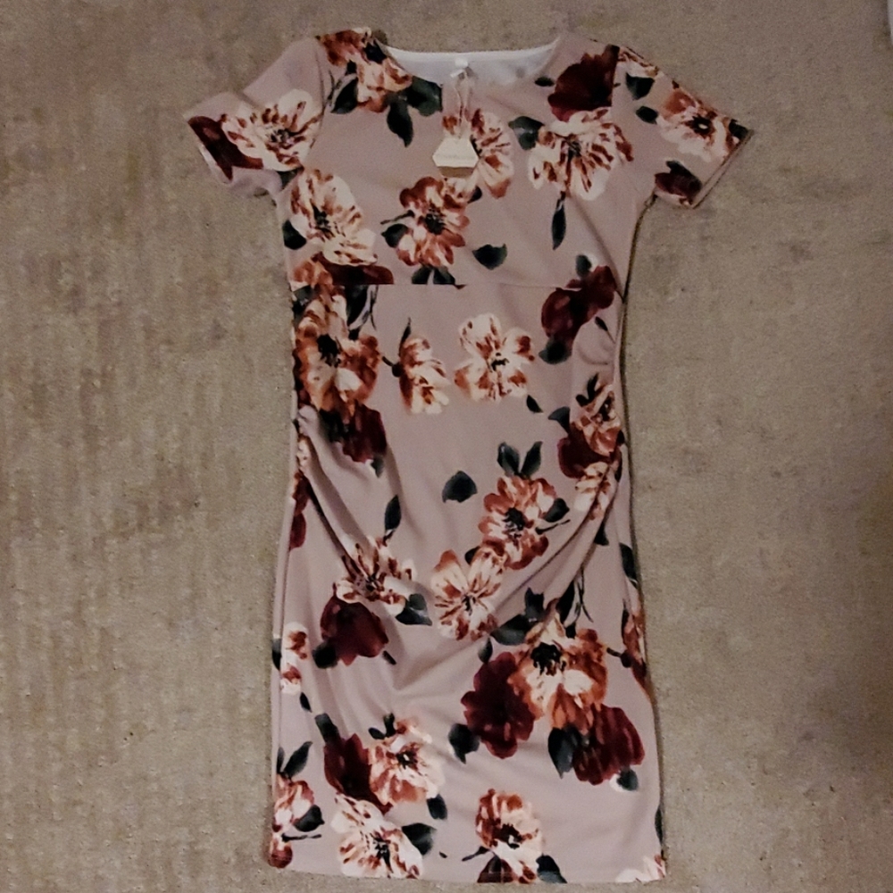 Pinkblush Maternity Dress